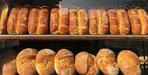 Bread