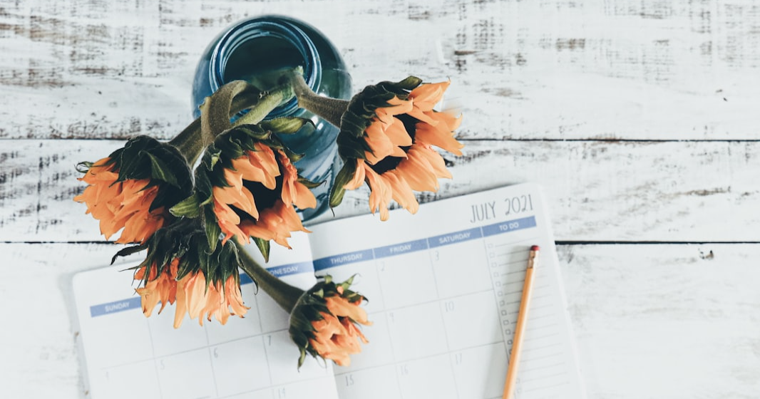 A bouquet of sunflowers.