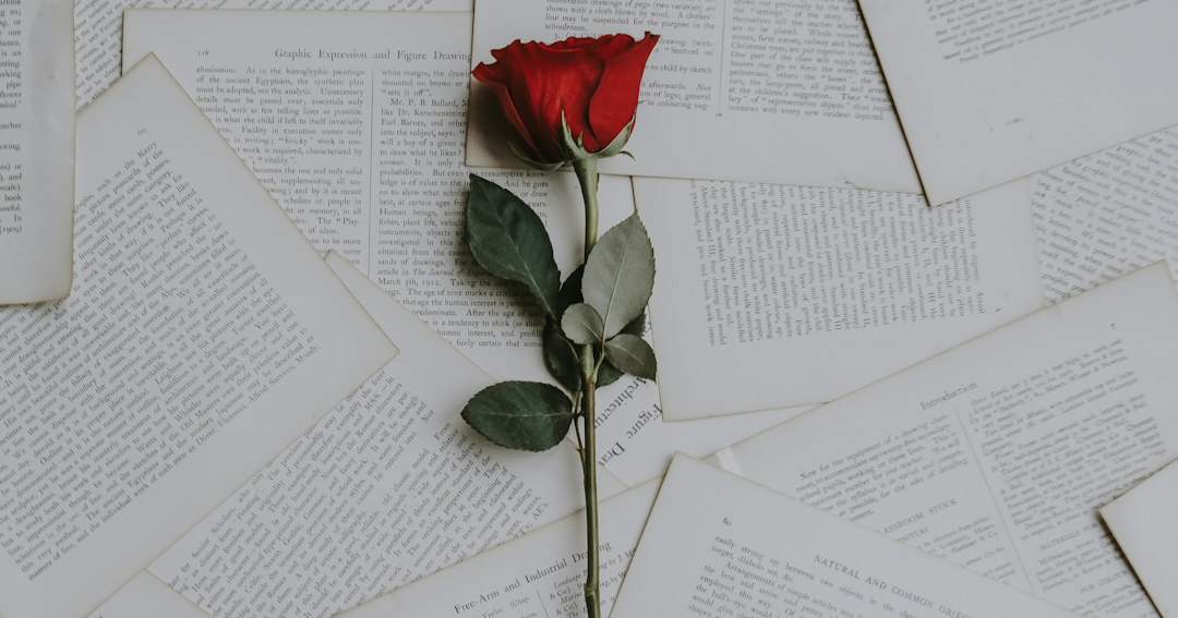 A single red rose.