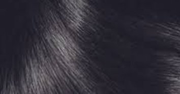 Black via Beserk