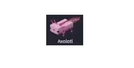 Axolotl