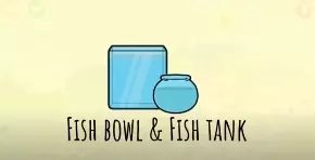 Fish Bowl & Fish Tank